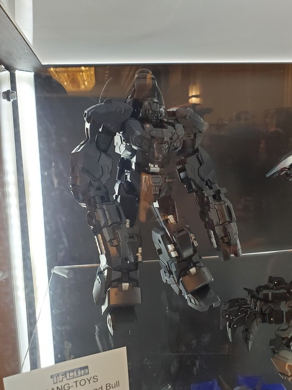New Iron Factory, Fans Toys, More Third Party At TFCon DC  (35 of 43)